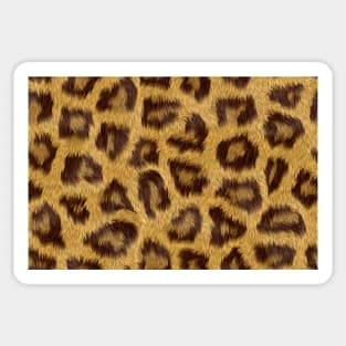 Leopard skin texture pattern Sticker